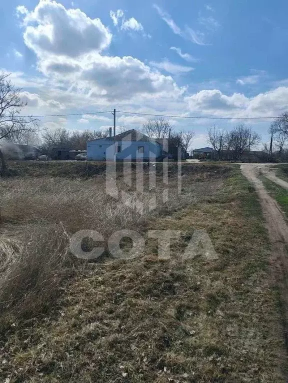 Участок в Воронежская область, Новоусманский район, с. Хреновое ... - Фото 2