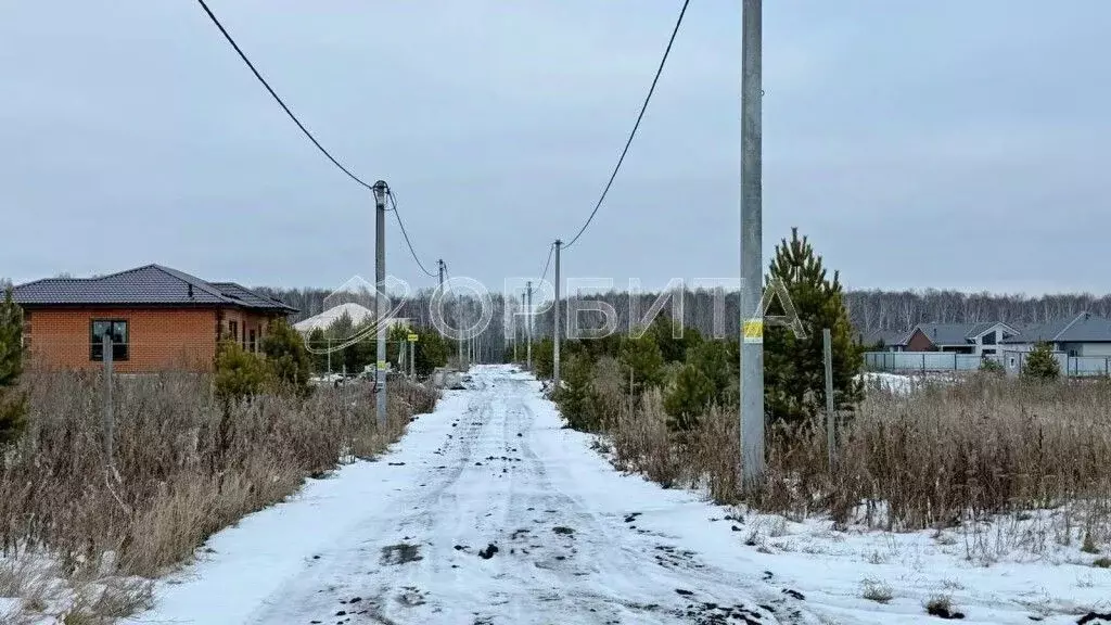 Участок в Тюменская область, Тюменский муниципальный округ, д. Елань ... - Фото 2