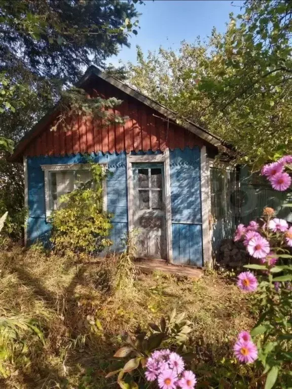 Участок в Брянская область, Брянск Коммунальник садовое общество,  ... - Фото 2