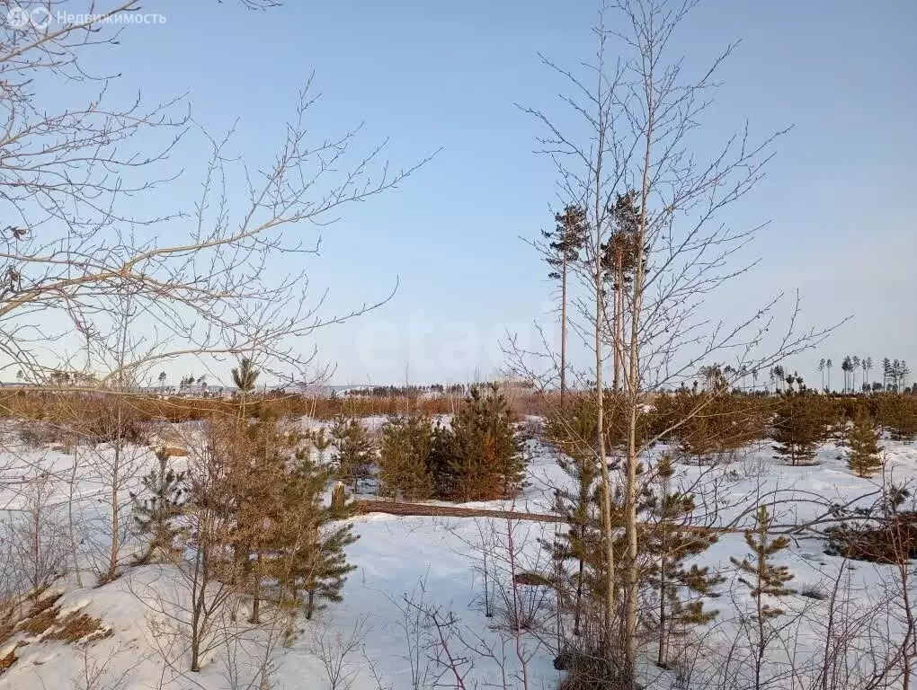 Участок в Читинский район, сельское поселение Смоленское, территория ... - Фото 2