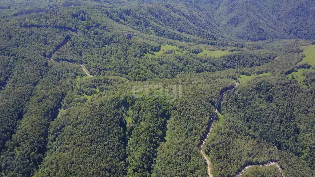 Участок в Алтайский край, Смоленский район, с. Сычевка  (800.9 сот.) - Фото 1