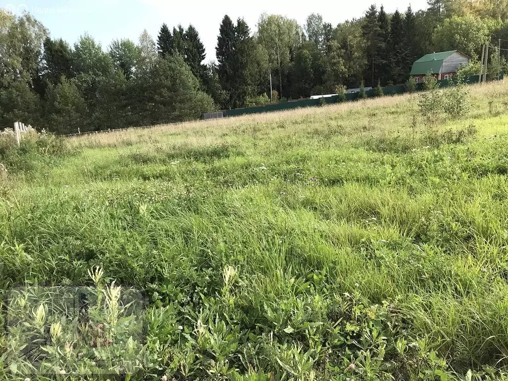 Участок в Вологодский муниципальный округ, деревня Марково (Лесковский ... - Фото 0