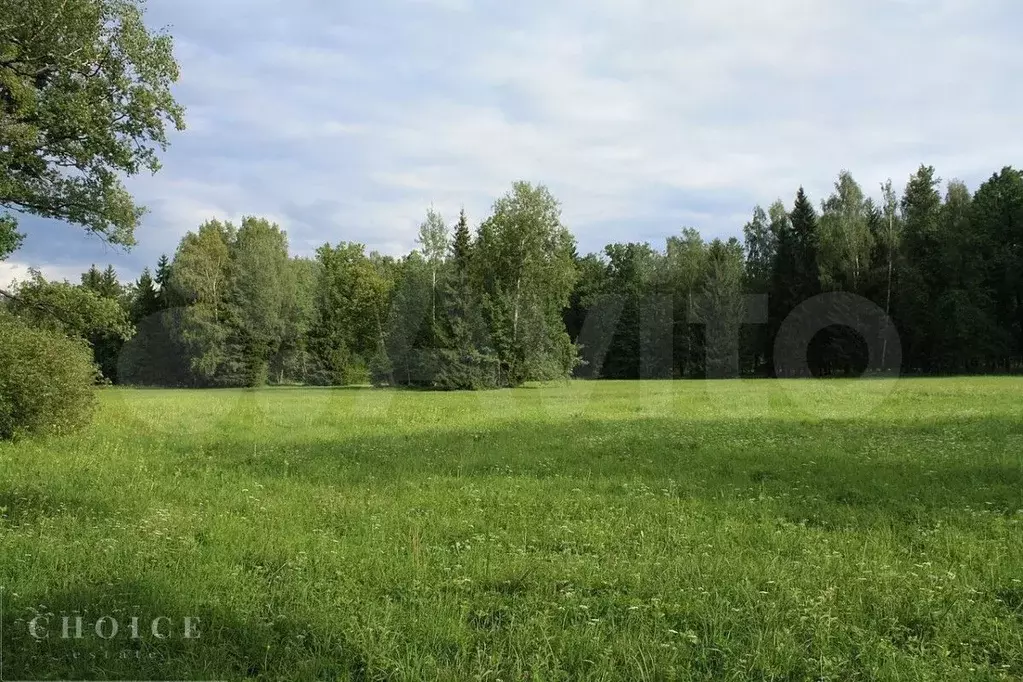 Участок 60 сот. (ИЖС) - Фото 0