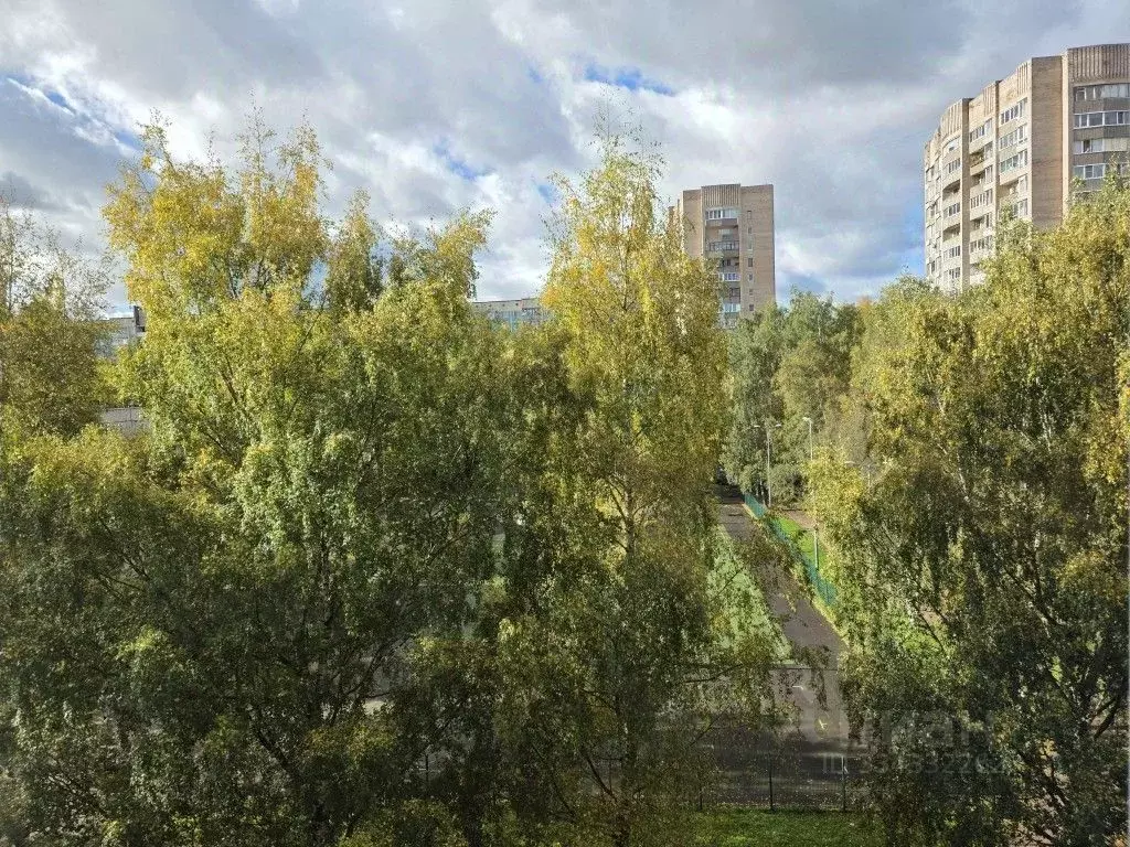 3-к кв. Санкт-Петербург ул. Сантьяго-де-Куба, 8К2 (58.5 м) - Фото 1