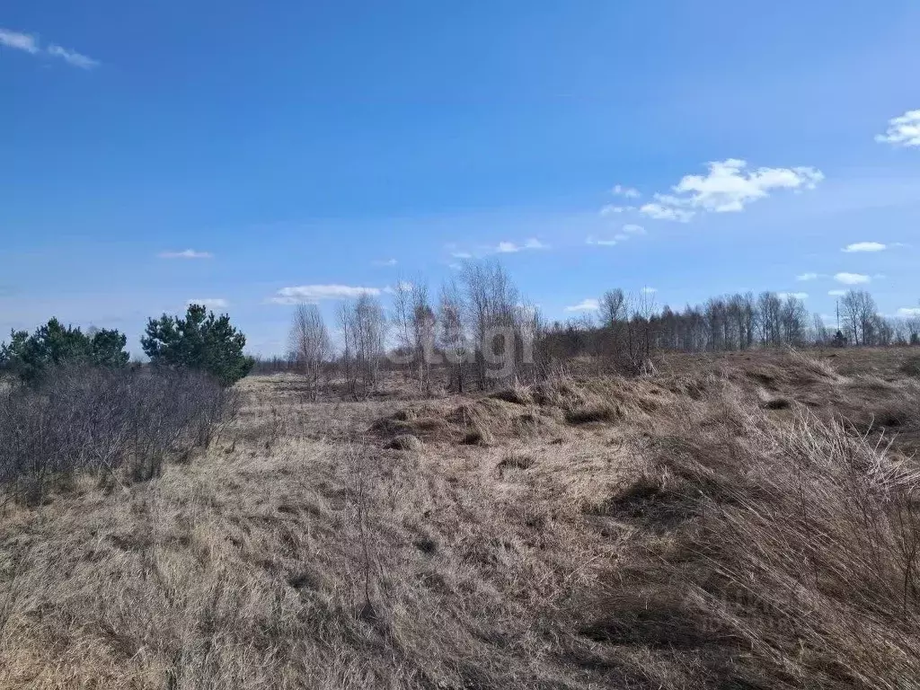 Участок в Алтайский край, Бийск ул. Нины Ширяевой (11.5 сот.) - Фото 1
