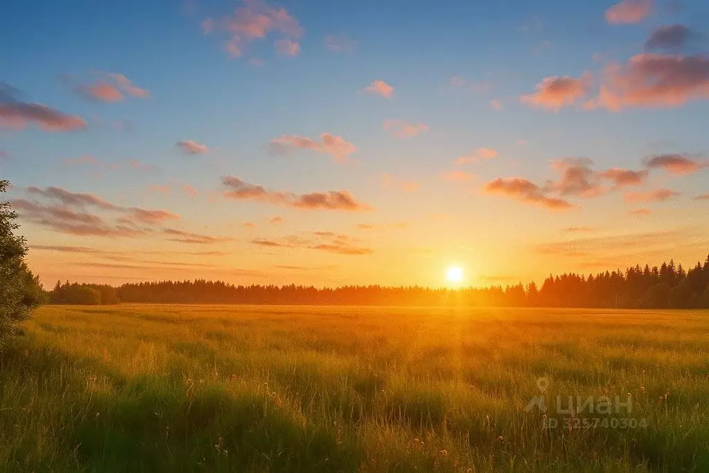 Участок в Коми, Корткеросский район, Додзь муниципальное образование, ... - Фото 2