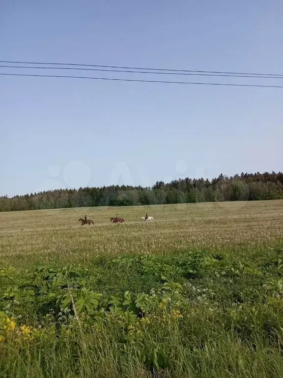 Участок 20 сот. (СНТ, ДНП) - Фото 1