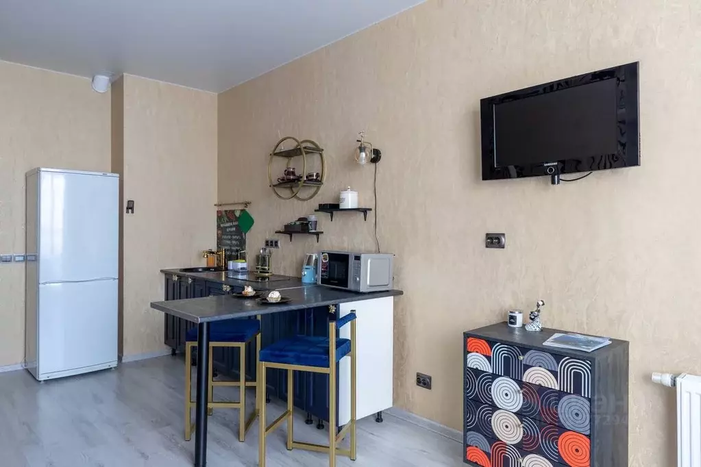 Студия Ленинградская область, Гатчинский муниципальный округ, д. Малое ... - Фото 2