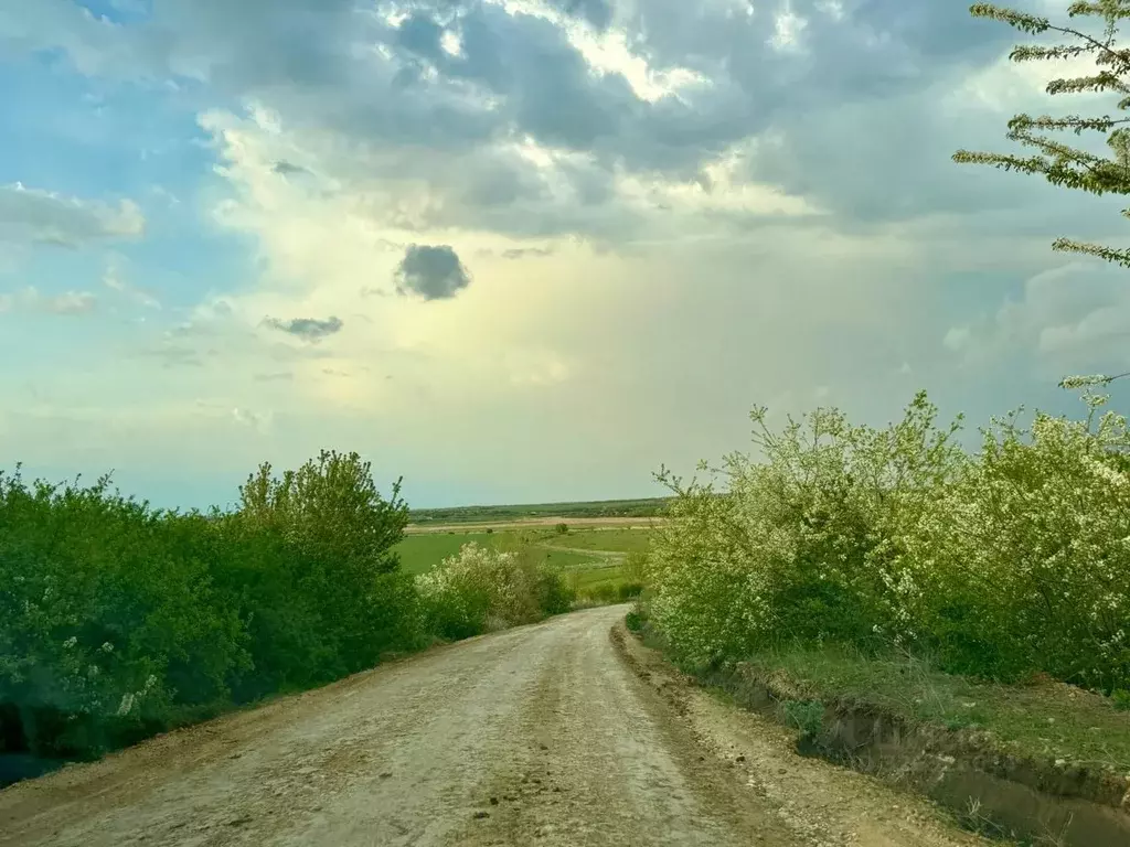 Участок в Ростовская область, Азовский район, Маргаритовское с/пос, с. ... - Фото 1