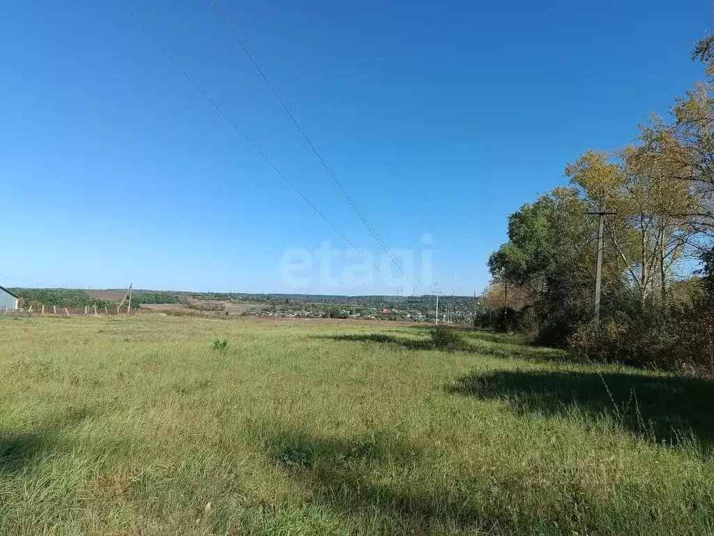 Участок в Курская область, Курский район, Моковский сельсовет, д. ... - Фото 2