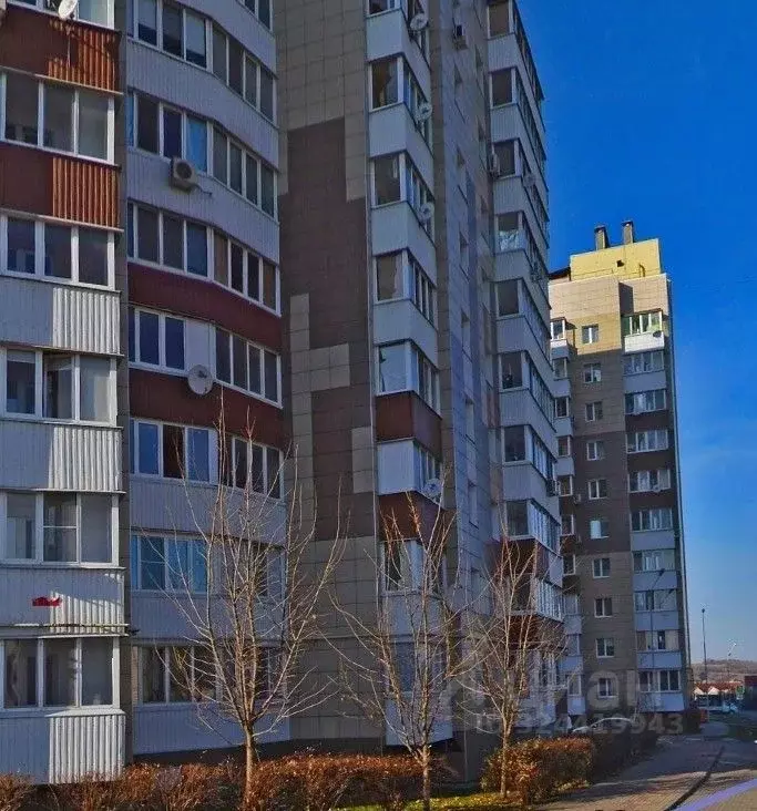 1-к кв. Белгородская область, Белгород бул. Строителей, 41 (35.0 м) - Фото 1