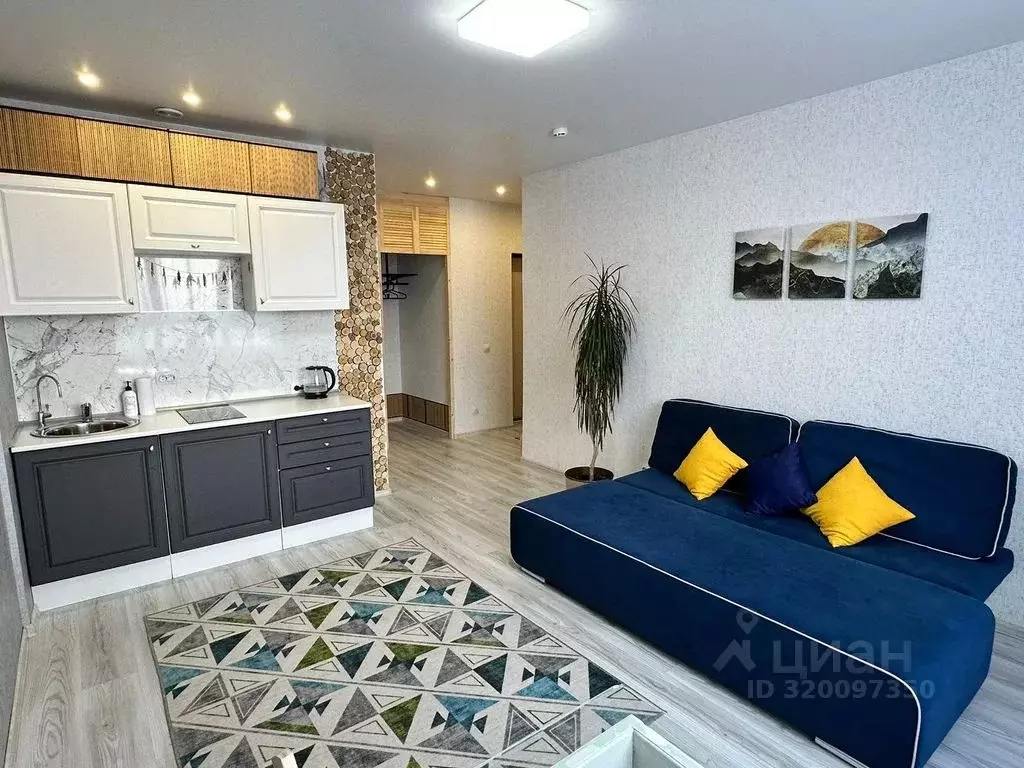 Студия Новосибирская область, Новосибирск Сухарная ул., 107/1 (27.0 м) - Фото 2