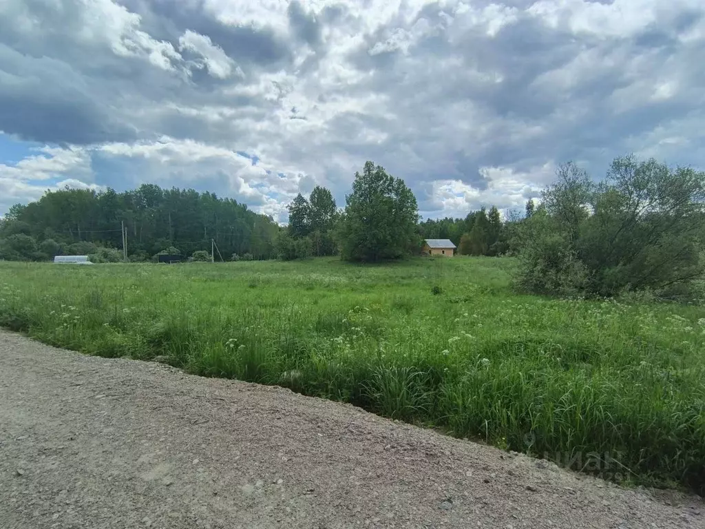 Участок в Ленинградская область, Приозерский район, Мельниковское ... - Фото 2