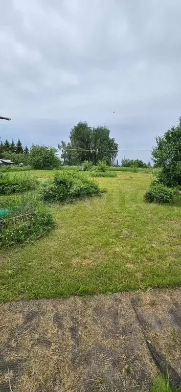 Дом 36 м на участке 19 сот. - Фото 1