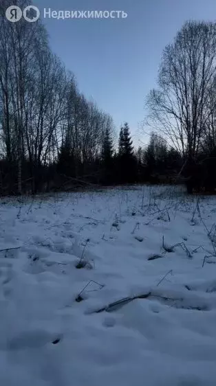 Участок в Копорское сельское поселение, деревня Маклаково (15 м) - Фото 0