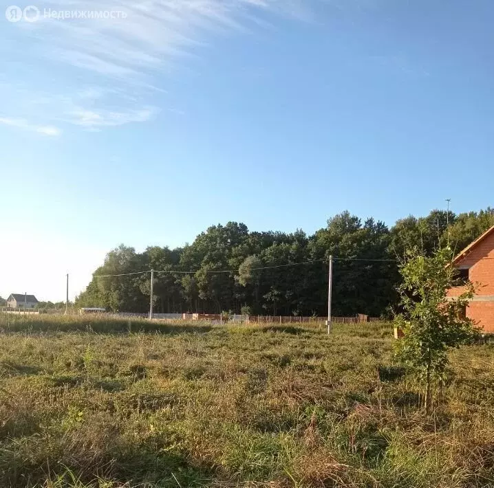 Участок в Калининградская область, Зеленоградский муниципальный округ, ... - Фото 1