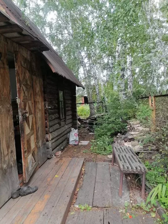 Участок в Омская область, Омск СОСН Лесное тер., аллея 4-я (5.0 сот.) - Фото 2