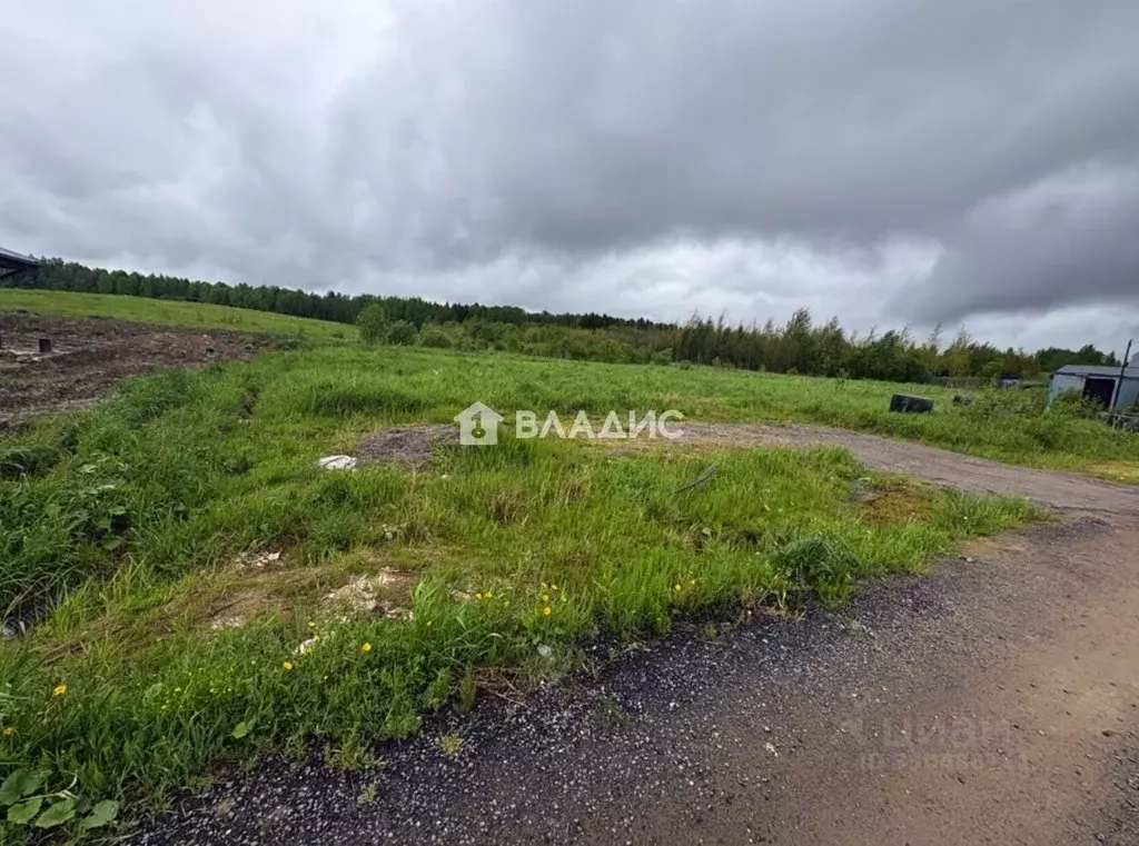 Участок в Ленинградская область, Всеволожский район, Лесколовское ... - Фото 2