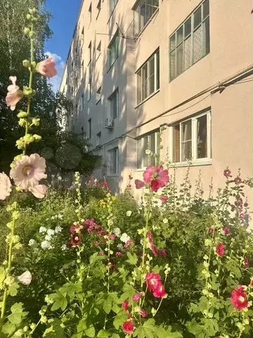 1-к. квартира, 33,4 м, 3/5 эт. - Фото 0