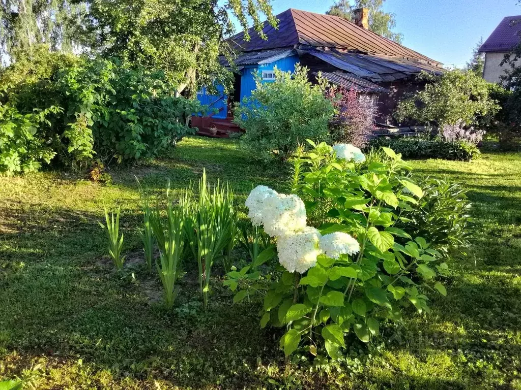 Дом в Смоленская область, Гагаринский муниципальный округ, д. Тетери  ... - Фото 2
