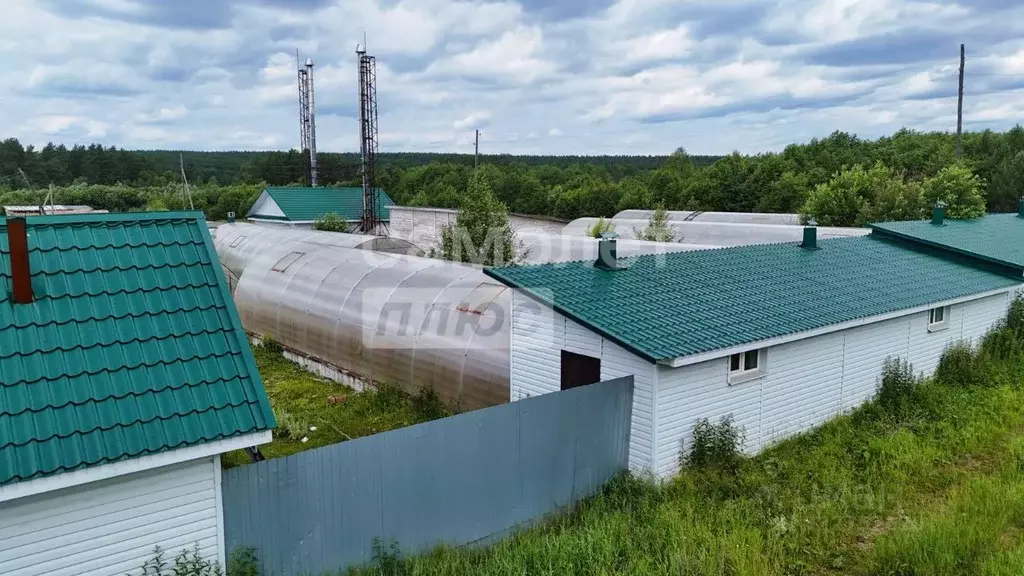 Помещение свободного назначения в Челябинская область, ... - Фото 2