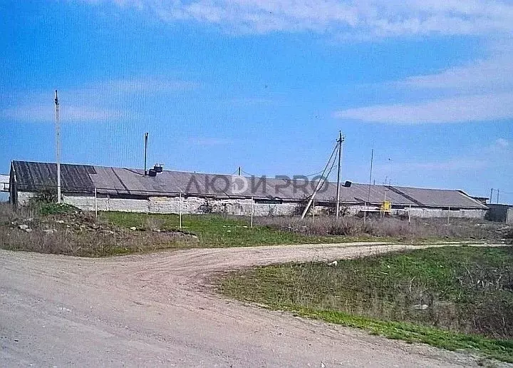 Помещение свободного назначения в Саратовская область, с. Михайловка ... - Фото 1