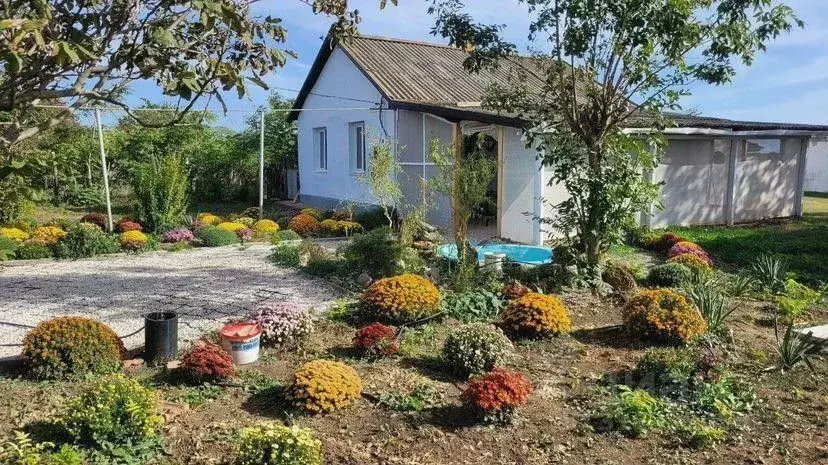 Дом в Крым, Раздольненский район, Березовское с/пос, с. Березовка ул. ... - Фото 0