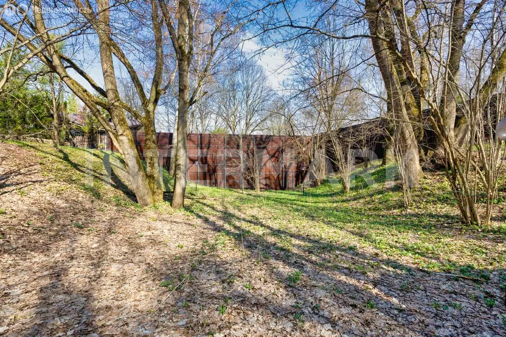 Участок в деревня Молоденово, КП Берёзовая роща, 15 (25.3 м) - Фото 1