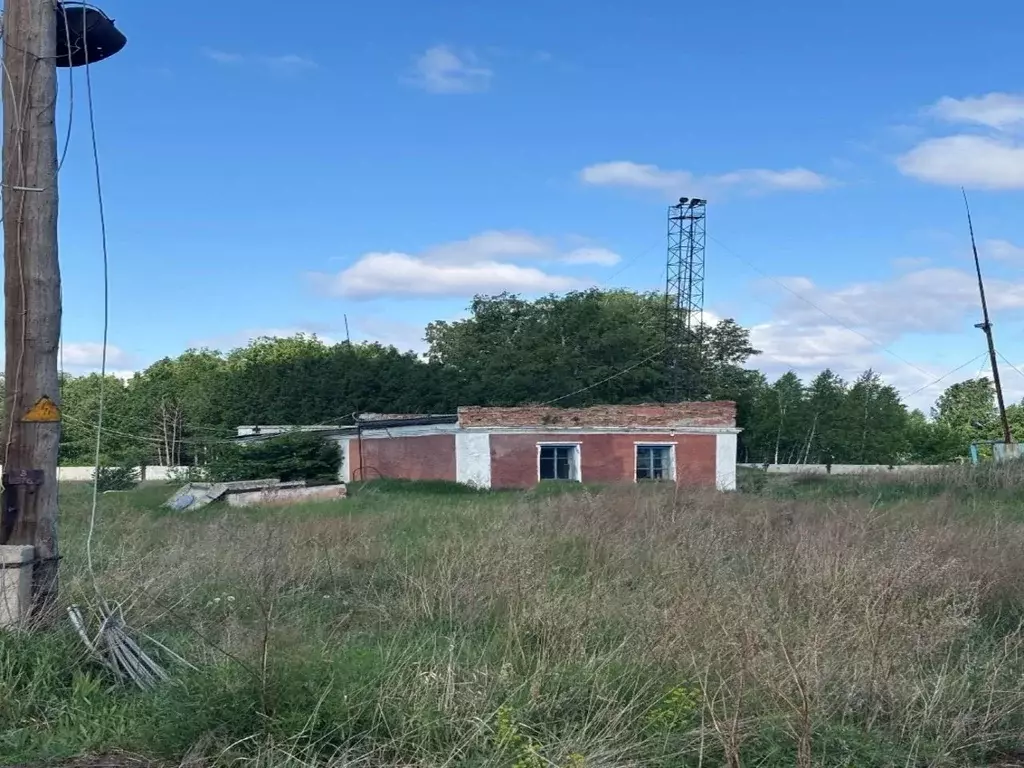 Помещение свободного назначения в Алтайский край, Камень-на-Оби ... - Фото 2