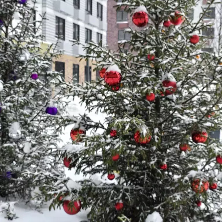 2-к кв. Московская область, Мытищи ул. Колонцова, 2Бк2 (51.0 м) - Фото 2