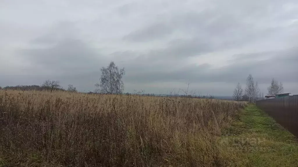 Участок в Московская область, Луховицы муниципальный округ, пос. ... - Фото 1