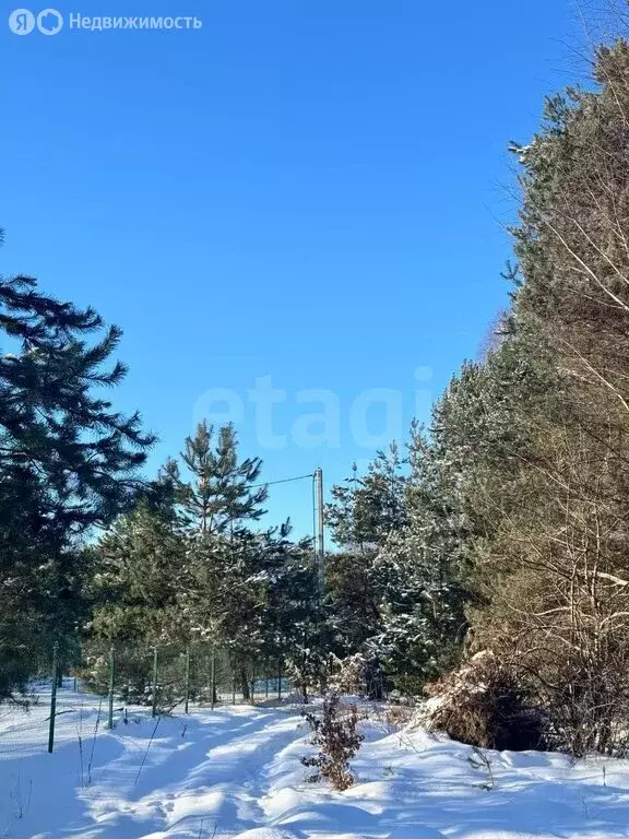 Участок в Калининградская область, Гвардейский муниципальный округ, ... - Фото 2