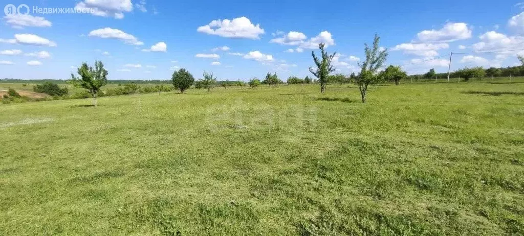 Участок в Рамонский район, село Русская Гвоздёвка (10.26 м) - Фото 1