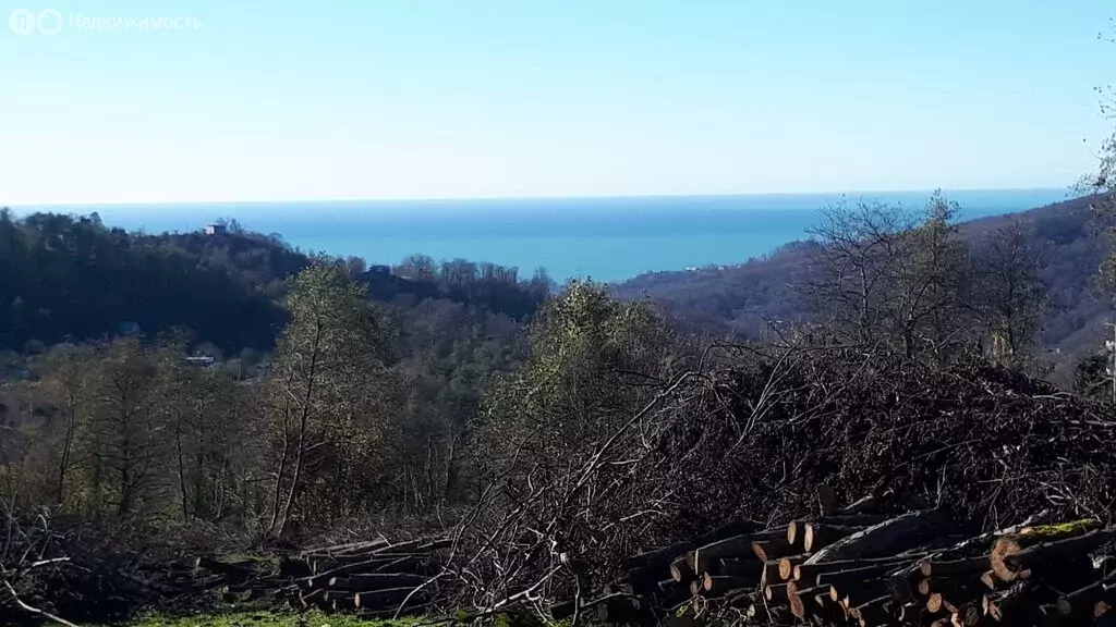 Участок в Краснодарский край, городской округ Сочи, село ... - Фото 2