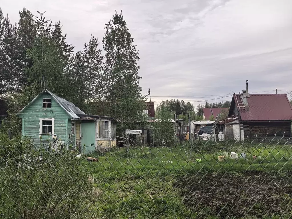 Дом в Архангельская область, Приморский муниципальный округ, ... - Фото 1