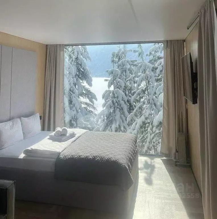 Дом в Алтай, Турочакский район, с. Артыбаш  (25 м) - Фото 1