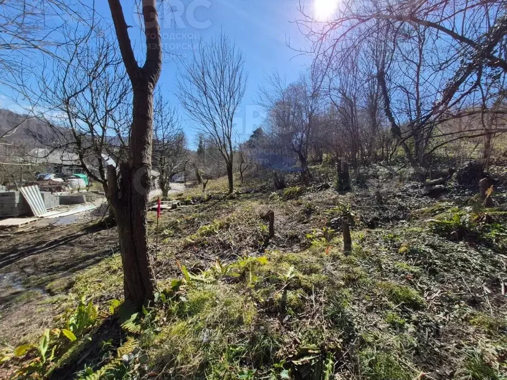 Участок в Краснодарский край, Сочи городской округ, с. Верховское ул. ... - Фото 2