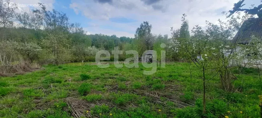 Участок в село Толмачево, СДТ Русь (5 м) - Фото 1