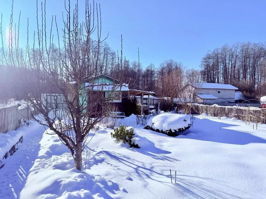 Участок в Калининградская область, Калининград Родник СНТ, ул. ... - Фото 1