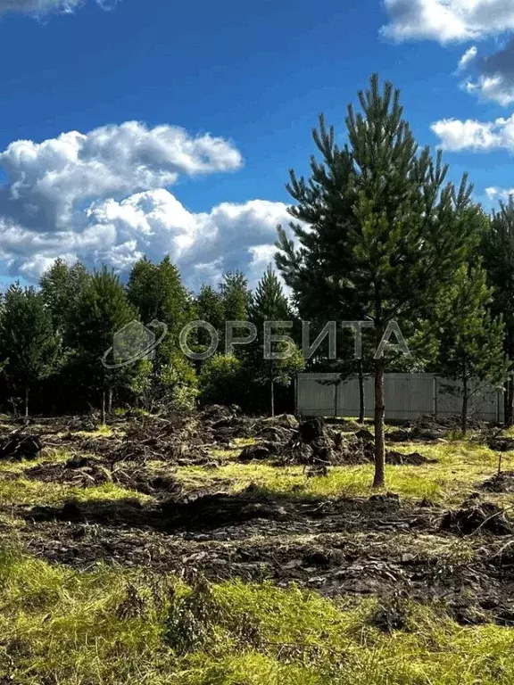 Участок в Тюменская область, Тюменский район, с. Княжево  (6.0 сот.) - Фото 1