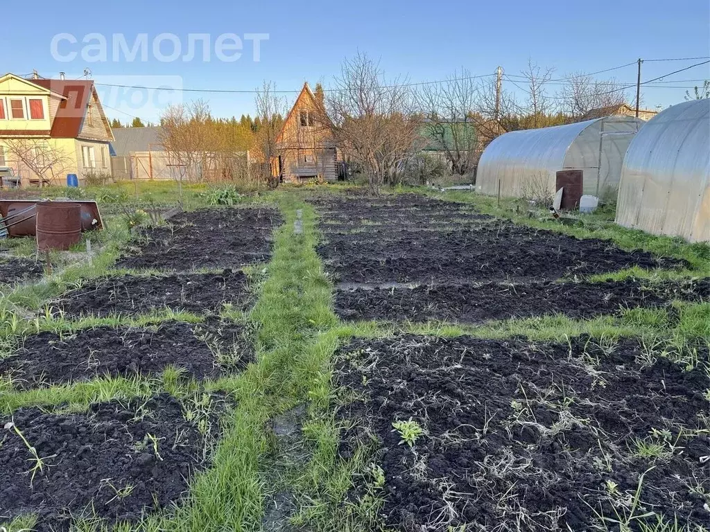 Участок в Кировская область, Киров городской округ, пос. Чистые Пруды ... - Фото 1