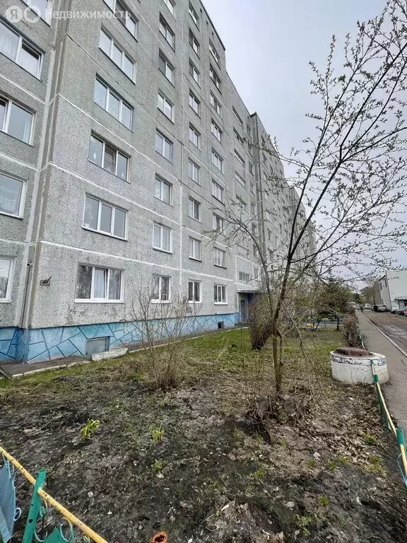 2-комнатная квартира: посёлок Ростовка, 7 (51.5 м) - Фото 1