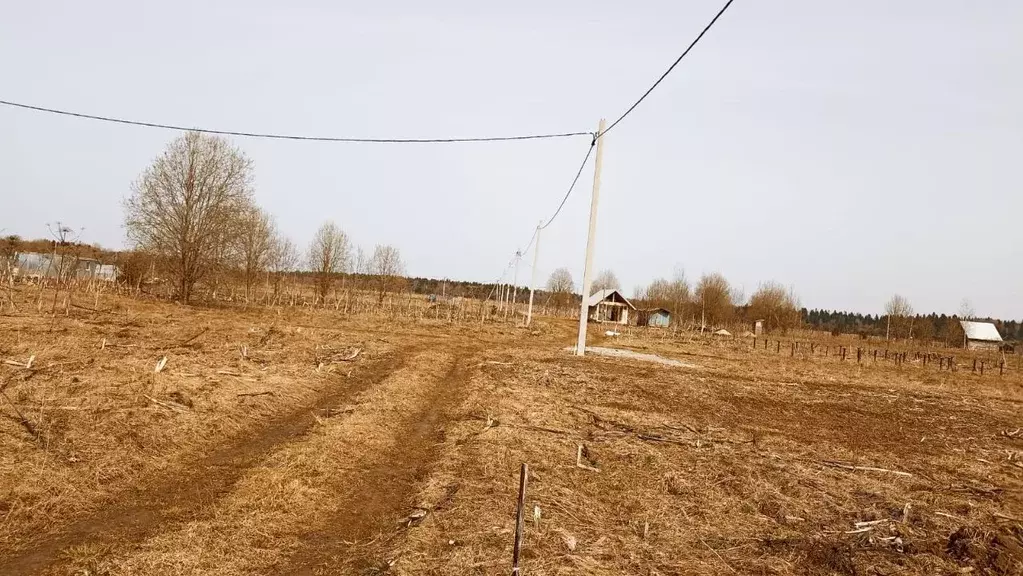 Участок в Ленинградская область, Волосовский район, Большеврудское ... - Фото 0