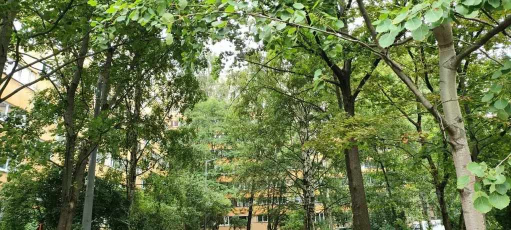 1-к кв. Санкт-Петербург аллея Поликарпова, 8к1 (32.4 м) - Фото 2