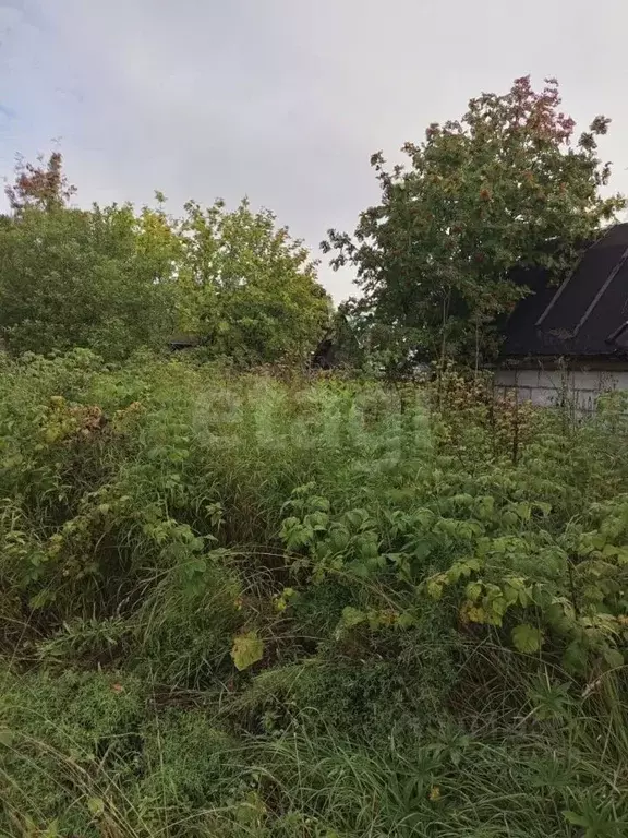 Участок в Коми, Сыктывдинский район, Лэзым муниципальное образование, ... - Фото 1