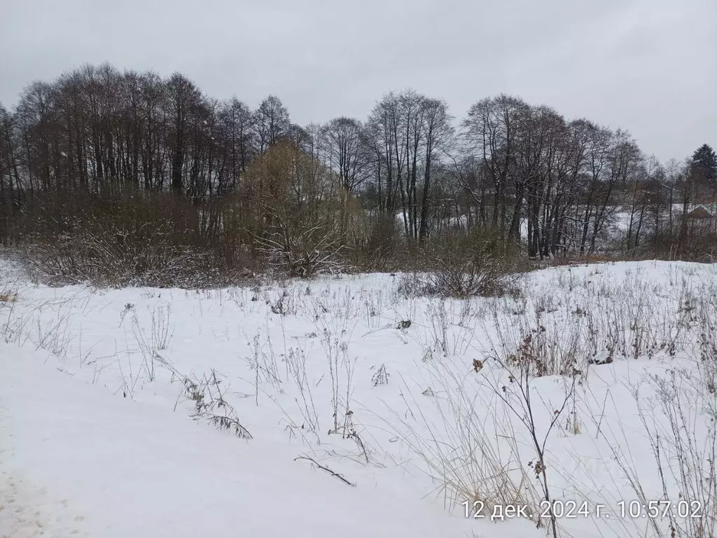Участок в Московская область, Наро-Фоминский городской округ, д. ... - Фото 0