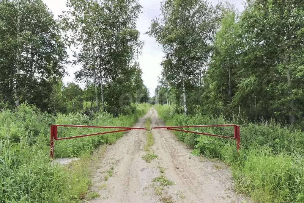 Участок в Тюменская область, Тюмень Зеленый Бор ДНТСН,  (7.0 сот.) - Фото 1