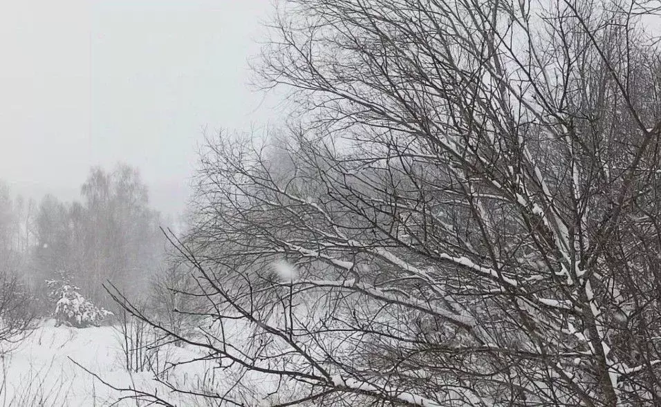 Участок в Московская область, Дмитровский муниципальный округ, д. ... - Фото 1