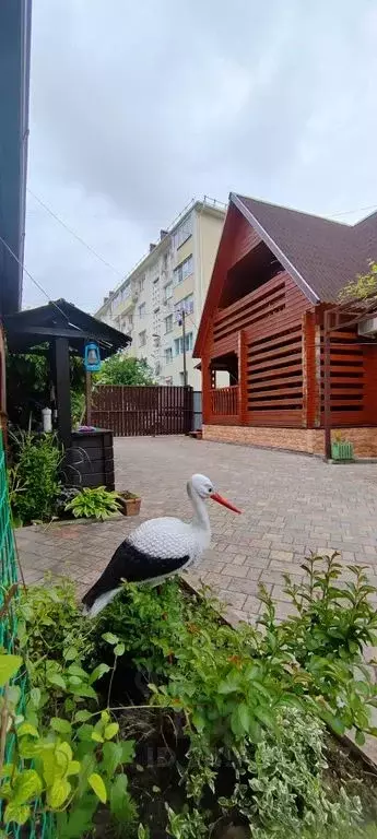 Дом в Краснодарский край, Туапсинский муниципальный округ, ... - Фото 1