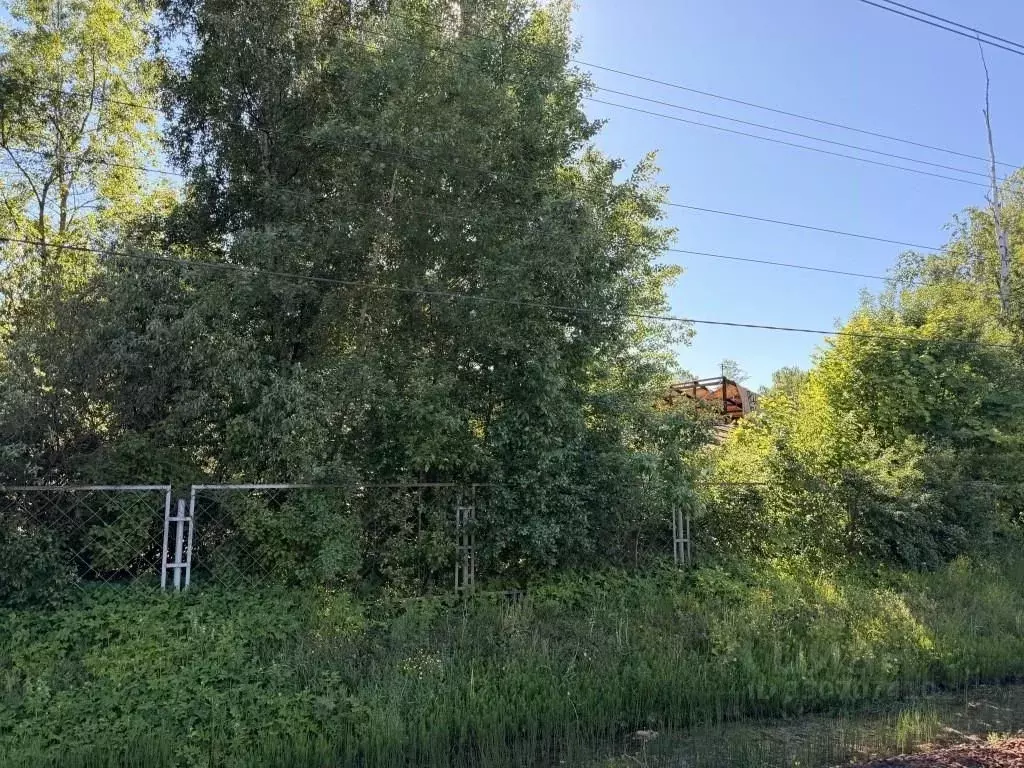 Участок в Санкт-Петербург пос. Парголово, Хабаровская ул., 11 (12.0 ... - Фото 2